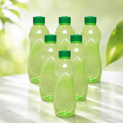 DELIGHT  6 PCS BOTTLE